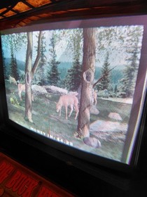 Big Buck Hunter Shooters Challenge IT Arcade Jamma PCB NO HARD DRIVE Working!