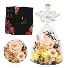 Valentines Rose Gifts for Women, 7" Preserved Roses Flowers in Glass Champagne