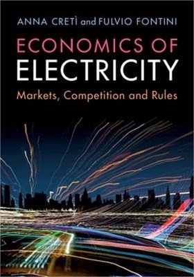 Economics of Electricity: Markets, Competition and Rules (Paperback or Softback)