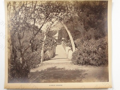 Alameda Gardens Gibraltar Path Torbogen Brücke um 1870 Vintage Foto