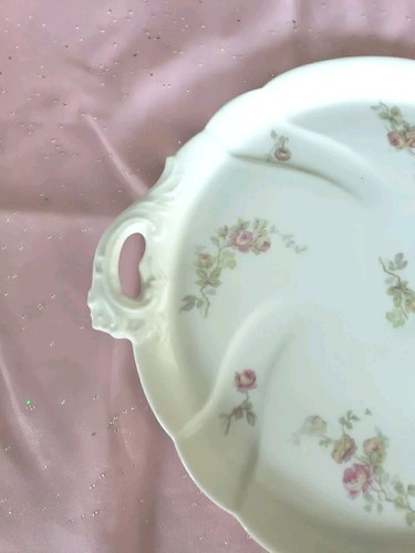 Antique PH Leonard Vienna Austria Serving Platter Lovely Pink Roses Ornate - Picture 3 of 9