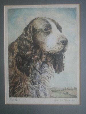 ''Alter Kumpel!'', signierter Druck eines Cocker Spaniels von Harold Thornton (1892-1958)