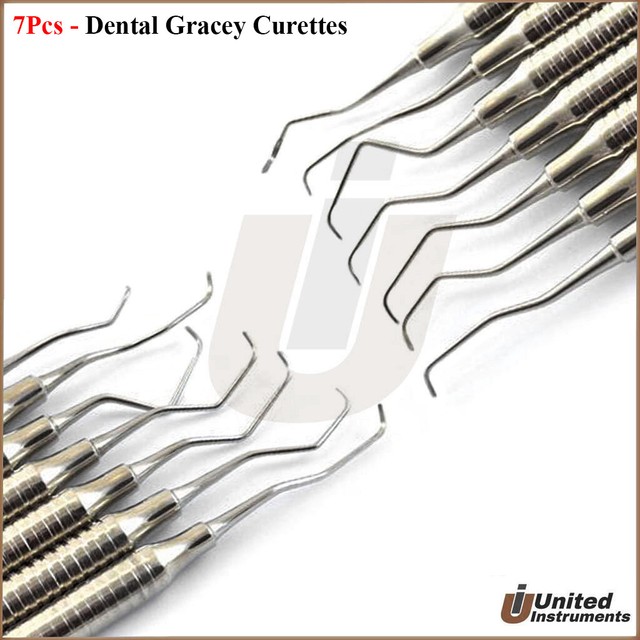 Basic Prophy Small Kit Dental Veterinary Instruments Dental Hygienist