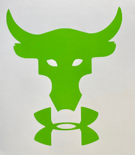 project rock bull logo