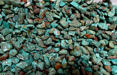 1 ounce Sonoran TURQUOISE Green NUGGETS  UNDRILLED Mexico