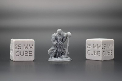 Cleric with Hammer Paladin 32mm Miniature Dnd Skirmish