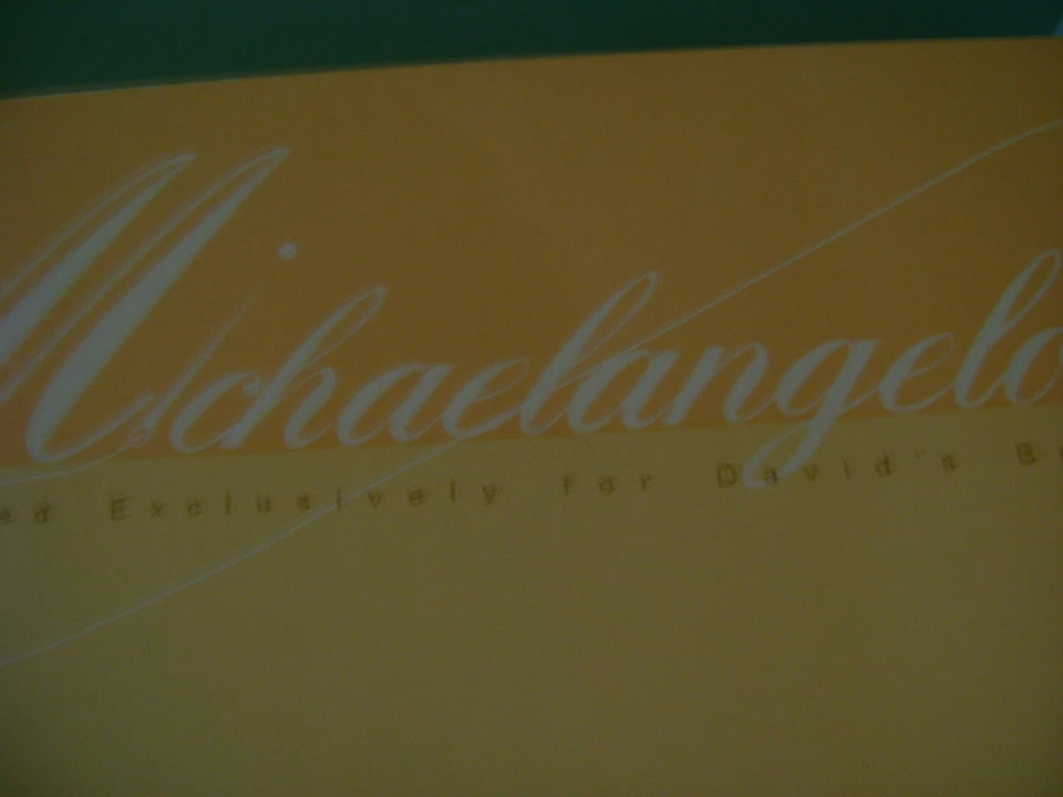 MICHAELANGELO BRIDAL SHOES FROM DAVIDS BRIDAL - Image 3 of 4