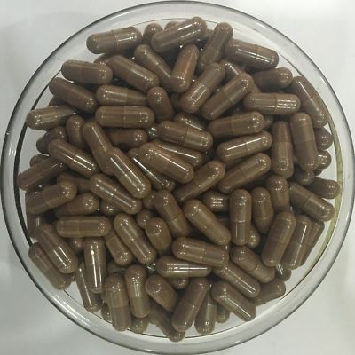 Pinienrindenextrakt Kapseln 95% OPC rein & hochwertig stark Antioxidans