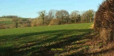 Photo 6x4 Field near Barkingdon Manor Landscove Looking right from [[[669 c2020