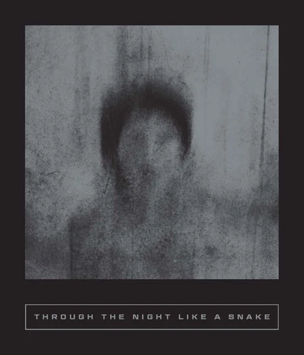 Through the Night Like a Snake: Latin American Horror Stories (Calico Series...