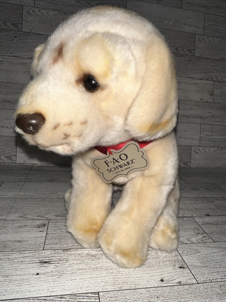 Labrador Puppy 10