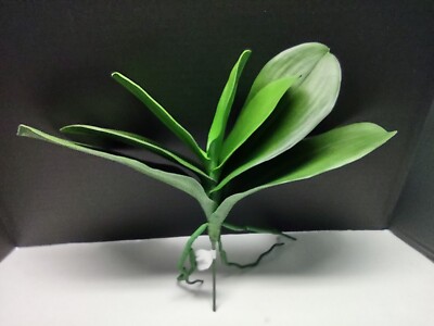 Artificial phalaenopsis orchid leaves LARGE 15''