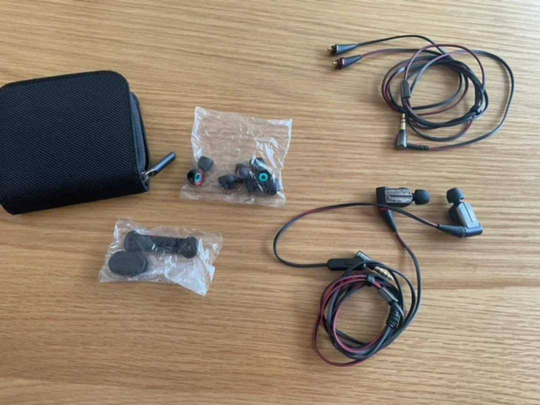 SONY XBA A2 Balanced Armature In Ear Headphones From Japan