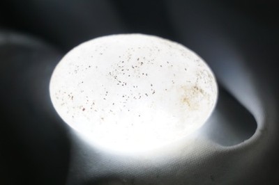 White Sheba - Cintamani - 17g - More rare than Saffordite Tektite #ska18