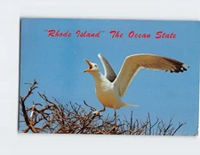 Postcard Sea gull The Ocean State Rhode Island USA