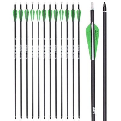 Archery 30Inch Carbon Arrow Practice Hunting Arrows with 100 Grain Removable ...