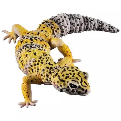 Ikimono Encyclopedia Advance Leopard Gecko High Yellow Figur