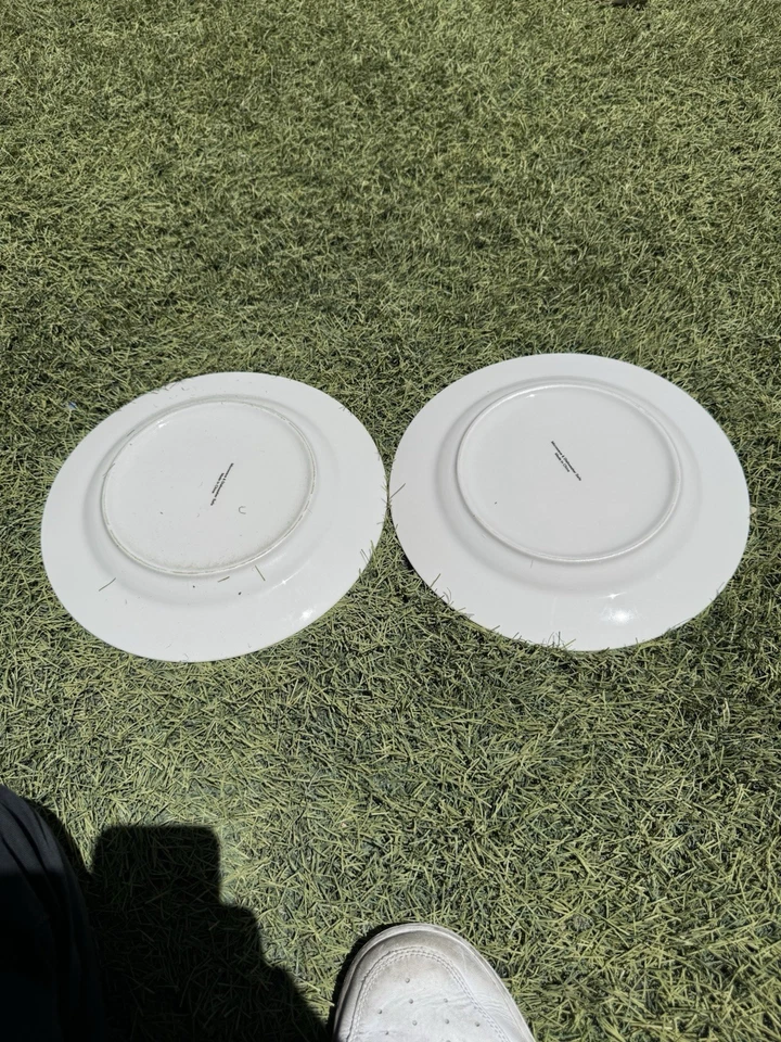 Lote de 10 platos y cuencos Navidad/primavera sin marca Foto 3 de 4