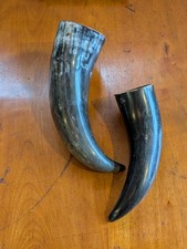Pair of vintage drinking horns