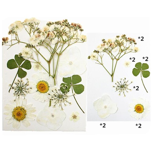 Real Dried Flower Natural Dry Plants Candle Epoxy Necklace Making Craft DIY - Picture 16 of 29