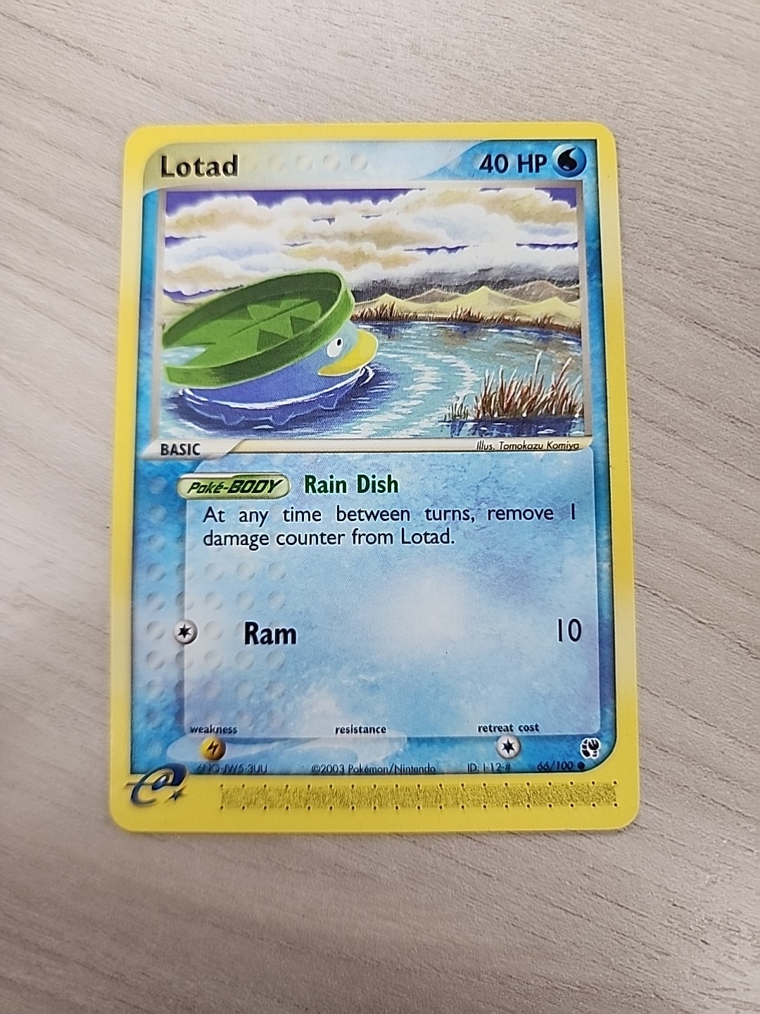 Lotad 66/100 Sandstorm Regular Pokemon TCG Near Mint