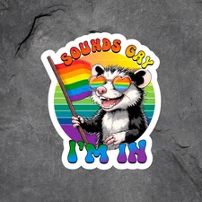 Gay pride sticker vinyl decal opossum sounds gay I'm in awareness window laptop