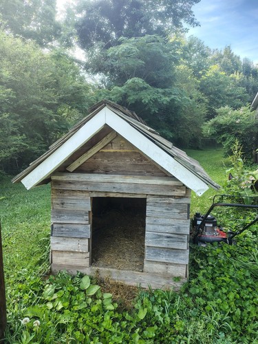 Wood Raised Outdoor Dog House for Large Dogs with Shingled Roof