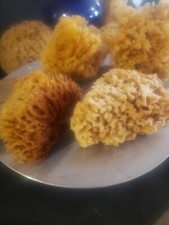 Natural Sea Sponge Mix 4pack 