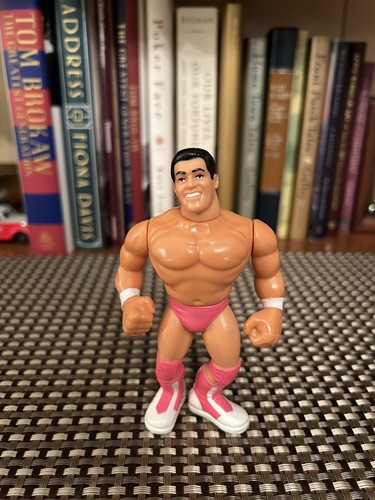 WWF HASBRO THE MODEL - WWF HASBRO Rick The Model M...