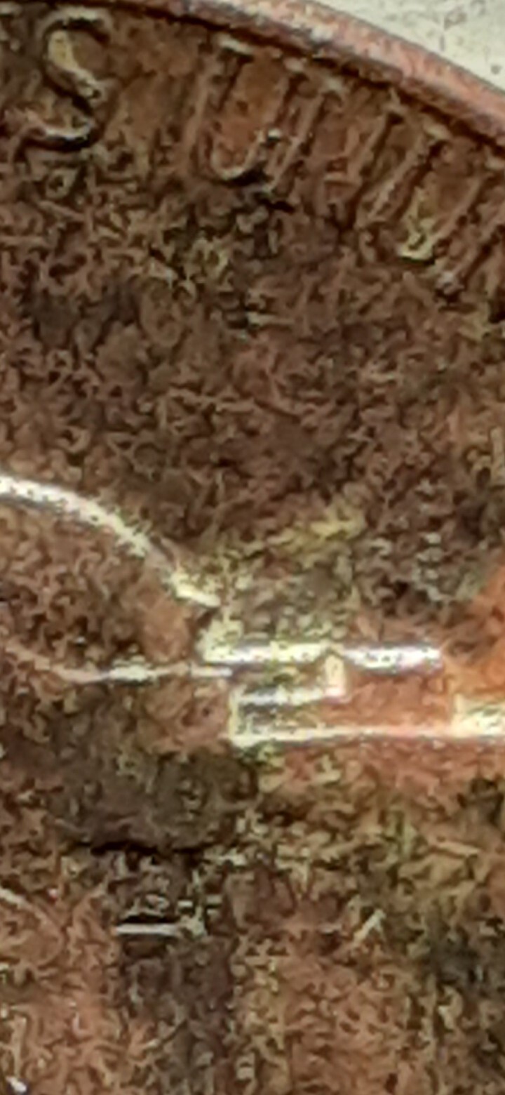 Picture 11 of 24