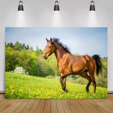 Horse Equestrian Party Backdrop Children Wall Birthday Decorations Background