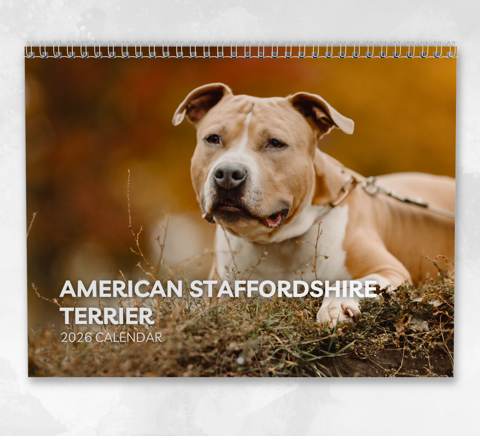 American Staffordshire Bull Terrier Calendar 2026: Monthly Wall Calendar