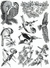 Unmounted Rubber Stamp Plate, Unmounted/Uncut Pink Rubber Stamps