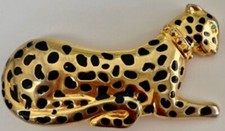 Beautifully spotted leopard with a distinctive collar