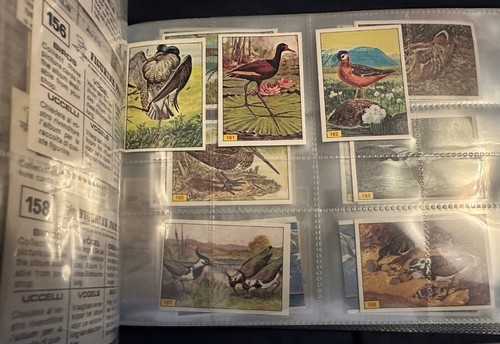 PANINI BIRDS : RARE COLLECTION OF LOOSE STICKERS 1-300 COMPLETE ALL IN VGC 1979 - Picture 6 of 10