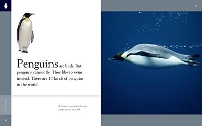 Penguins (Amazing Animals) - VERY GOOD