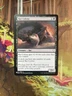 Rat Colony - The List Reprints NM MTG