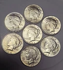 .99Cents!! Group of 7x 1923 $1 Silver Peace Dollars - All BU