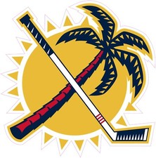  NOT A PATCH Florida Panthers Hockey HTV Heat Press Transfer Vinyl Iron On