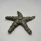 Foto 5 di 6