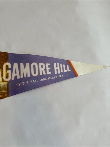 Theodore Roosevelt sagamore hill Oyster bay long island vintage pennant 25” - Picture 4 of 6