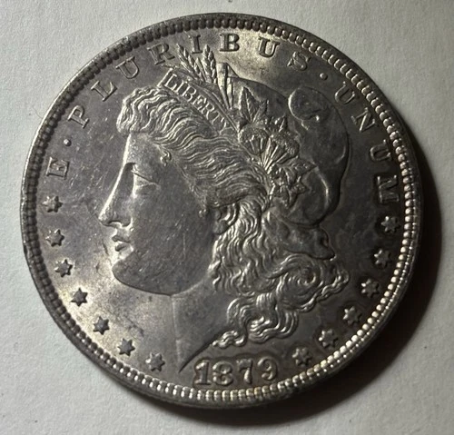 1879 Morgan Silver Dollar