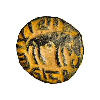 Islamic Umayyad Fals Hims Elephant Type Walker 795 Album 177 Genuine  Authentic
