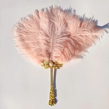 European French Elegant Feather Fan Retro Court Ladies Hand Fan Shooting Props