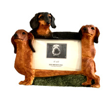 Jack Russell 4x6 Dog Picture Frame By E S Imports Resin