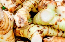 Alpinia galanga Fresh Natural Organic Roots