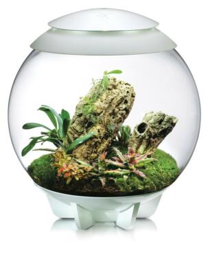 biOrb Nano-Terrarium AIR 60 für Tropenpflanzen weiß