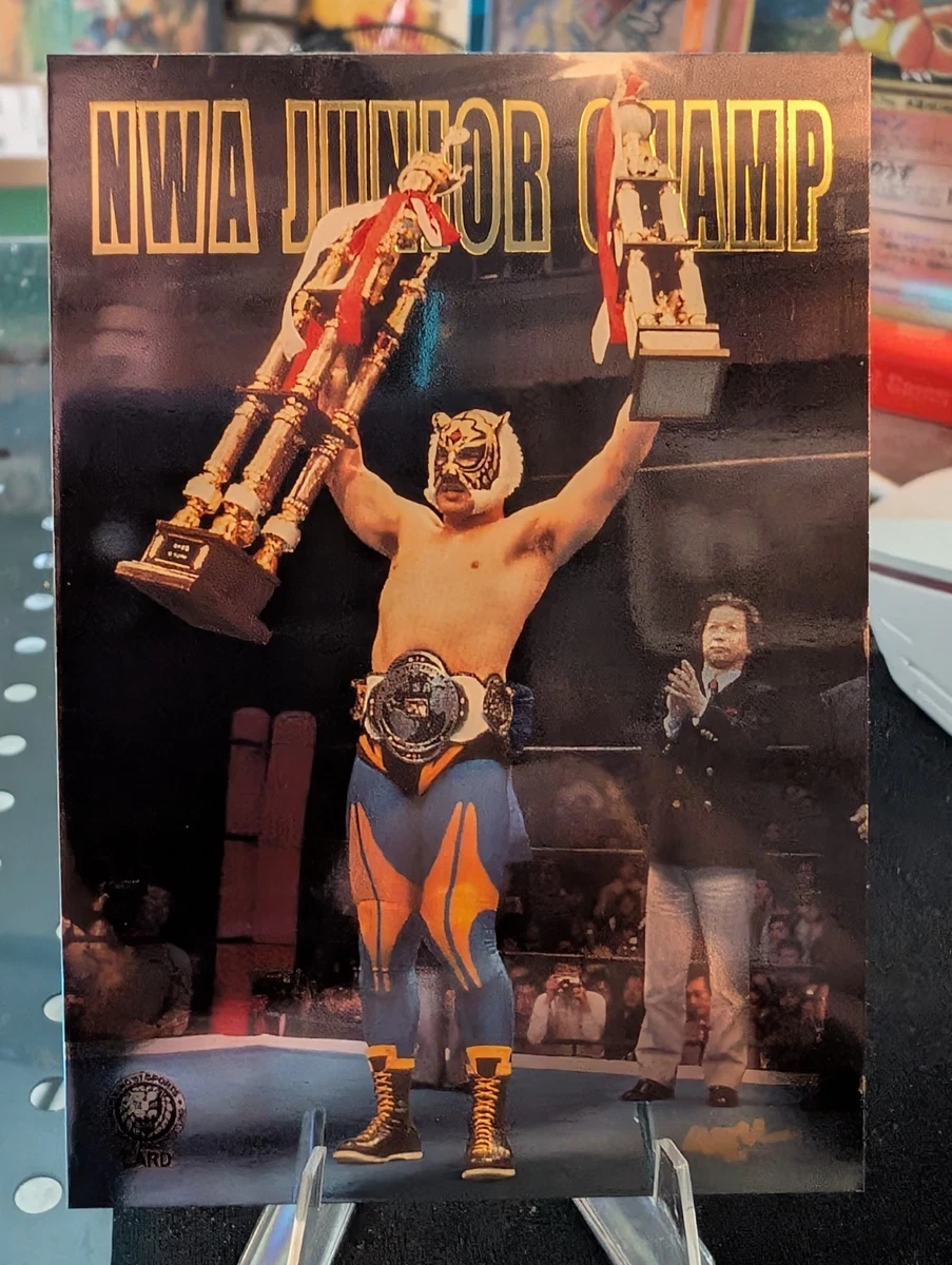 1998 Bandai New Japan Pro Wrestling - Tiger Mask #S09 for sale | eBay