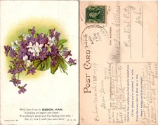Beautiful Flowering Plant Postcard from Esbon Kansas