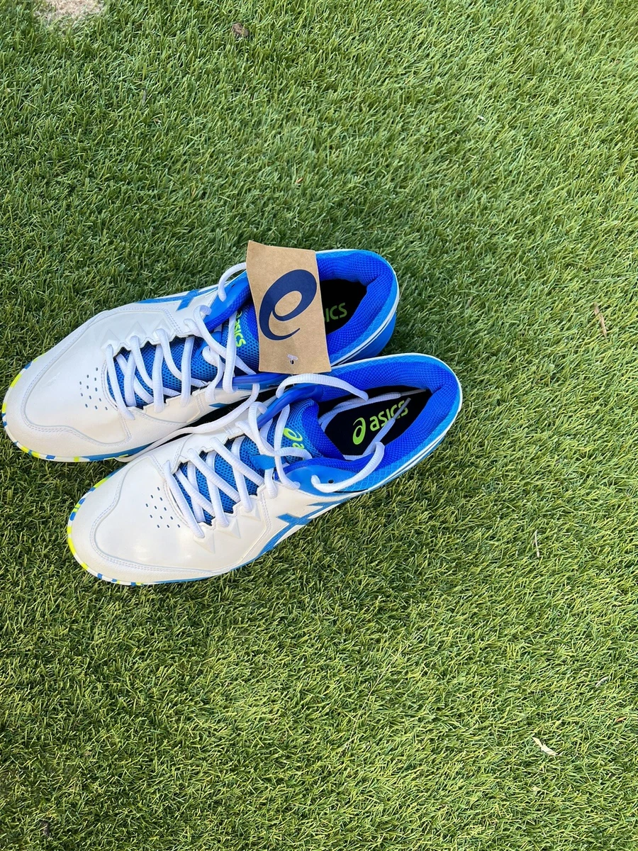 Asics Cricket Shoes